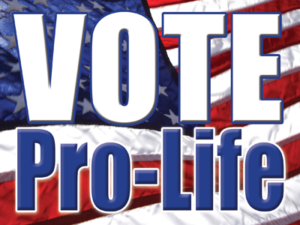 Vote ProLife Flag