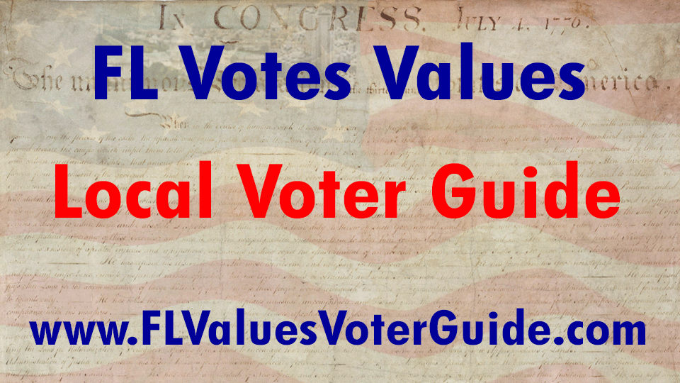 Local Voter Guide